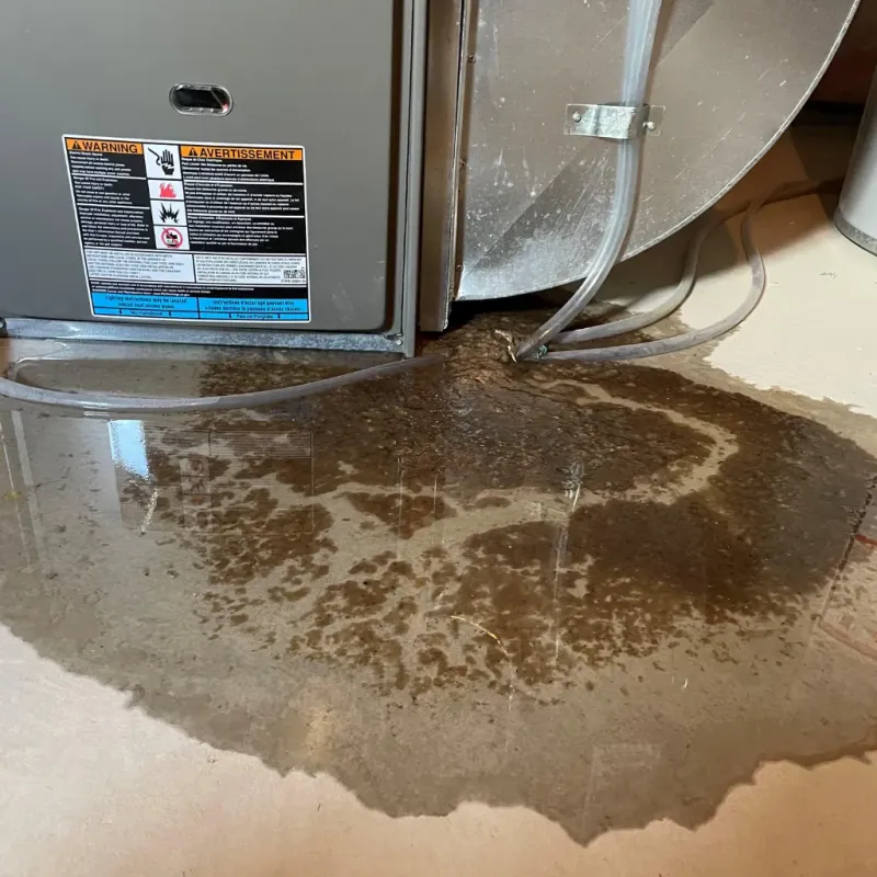 Appliance Leak Cleanup in Saranac Lake, NY